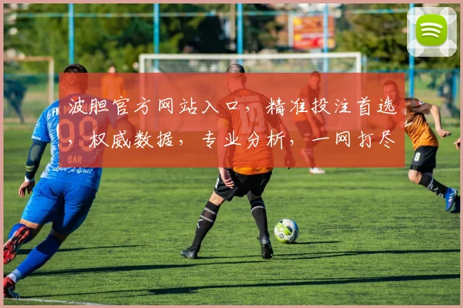 波胆官方网站入口，精准投注首选，权威数据，专业分析，一网打尽